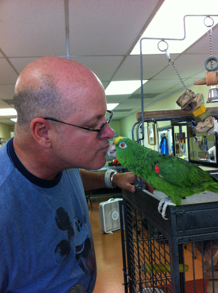 Moon, the parrot gives David a kiss.
